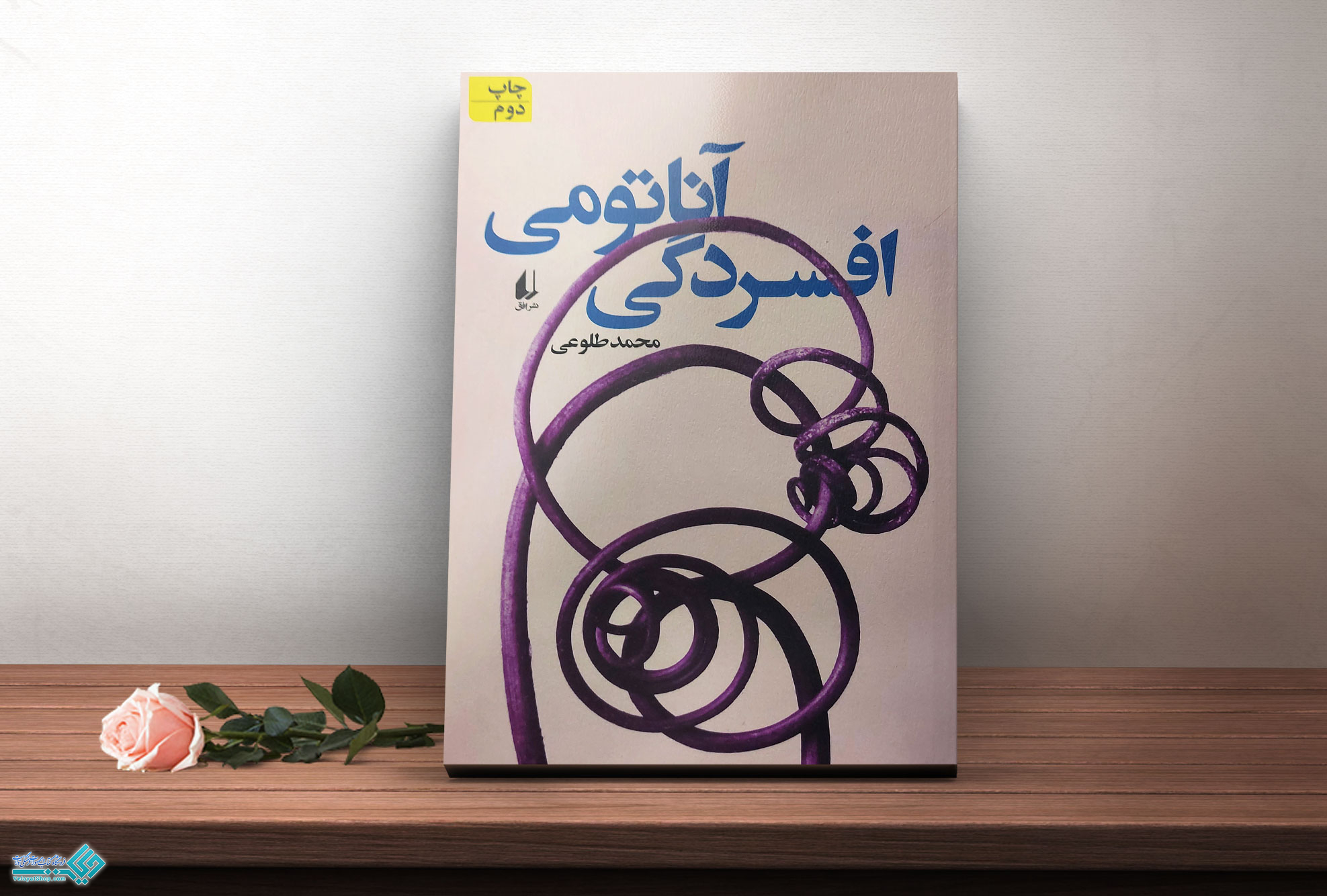 افسردگی-آناتومی کتاب-افسردگی-آناتومی