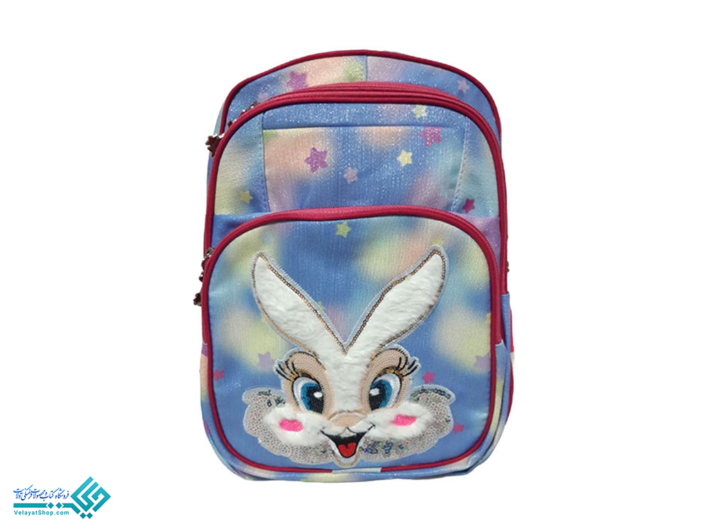 28009.3 کوله پشتی اکلیلی