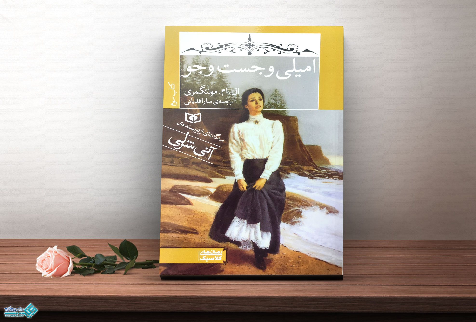 امیلی کتاب امیلی و جست و جو