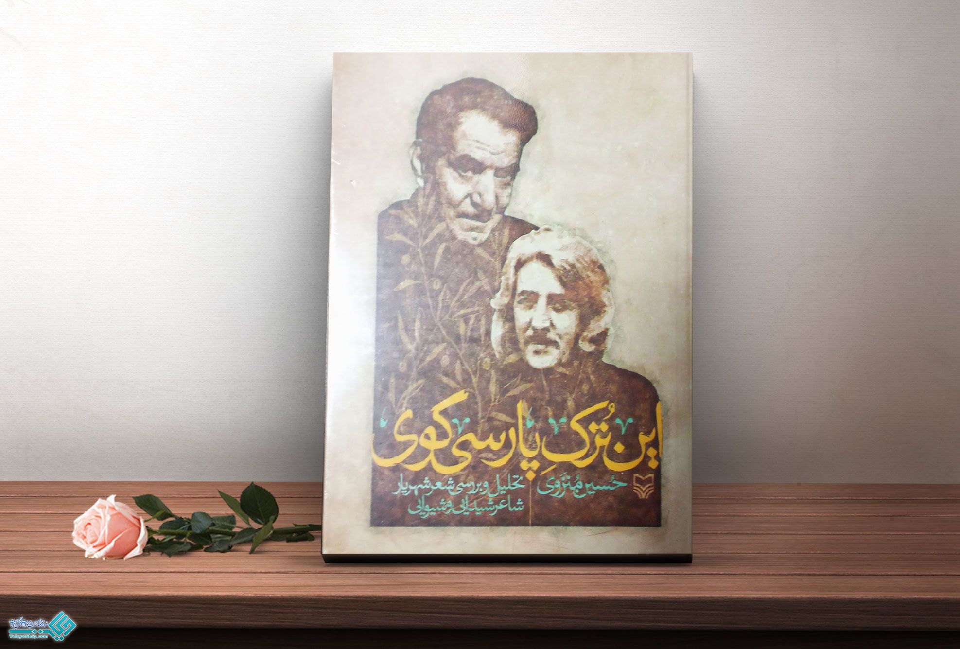 این-ترک-پارسی-گویی کتاب این ترک پارسی گوی