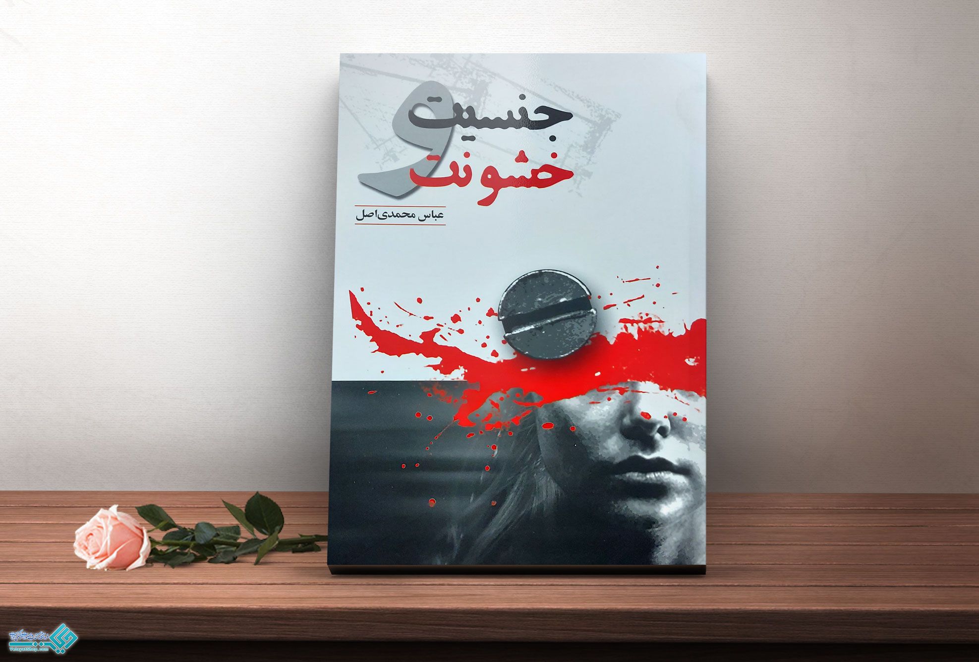 جنسیت-و-خشونت کتاب جنسیت و خشونت