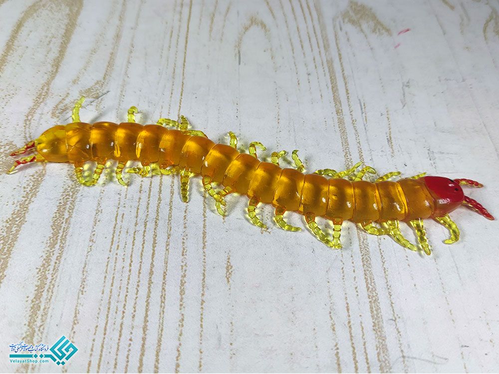 هزارپا-زرد هزار پا ژله ای