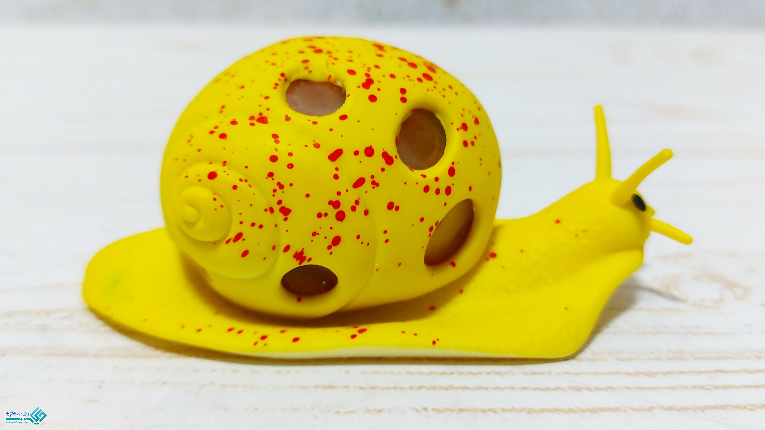 InShot_20230131_105019581 میشبال حلزون