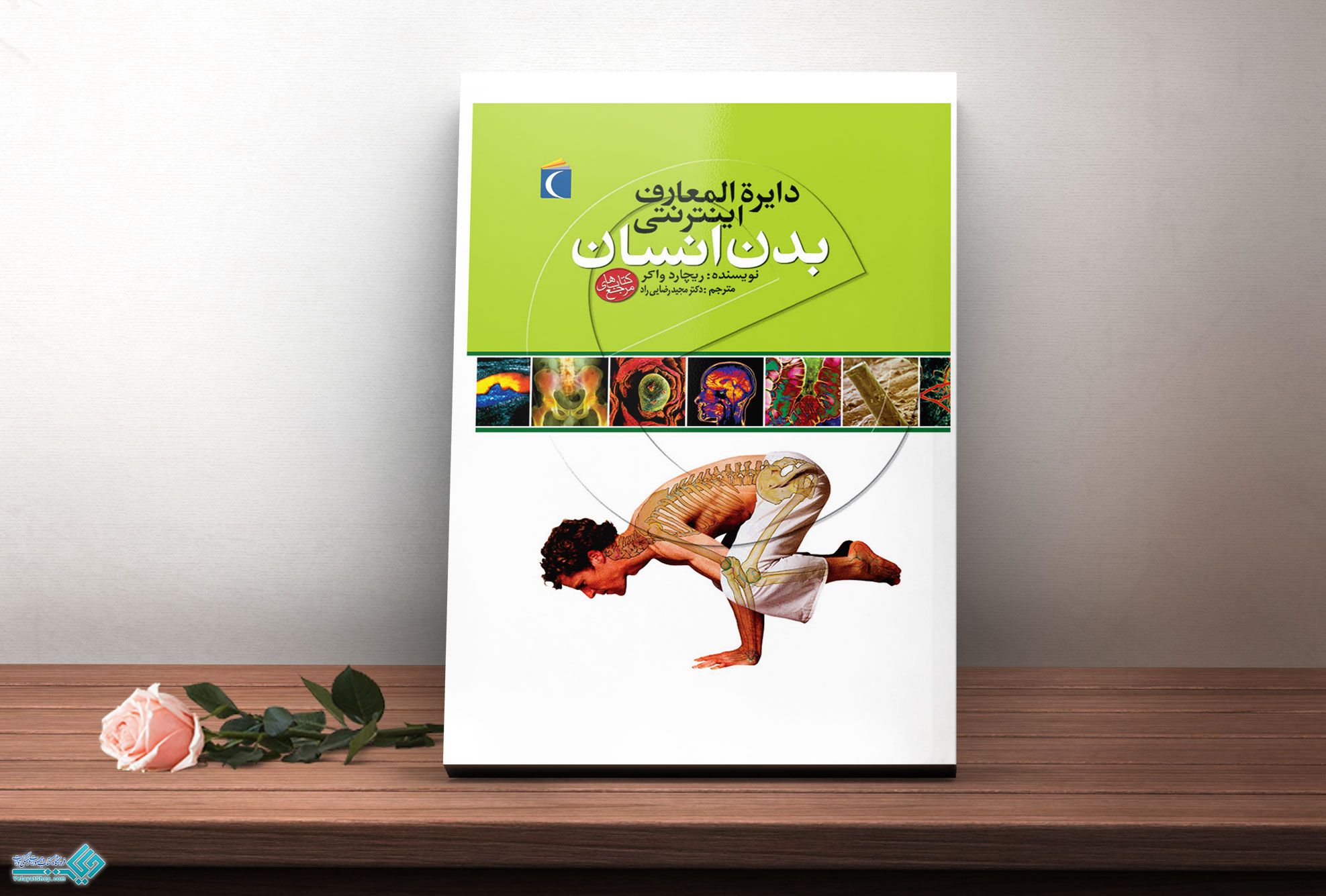 دایره-المعارف کتاب دایره المعارف اینترنتی بدن انسان